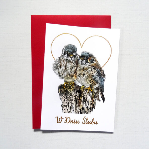 Kartka na Ślub z Ptakami, Pustułki Zakochana Para