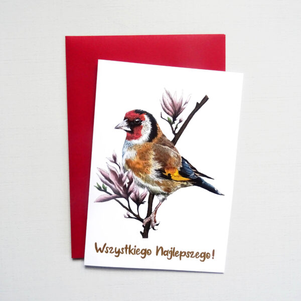 Kartka Urodzinowa z Szczygłem, Wszystkiego Najlepszego