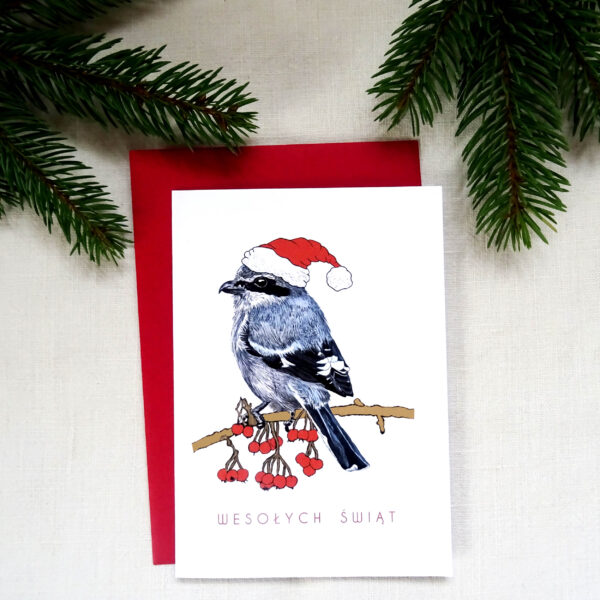 Kartka Świąteczna z Srokoszem, Ptaki Polski, Wesołych Świąt