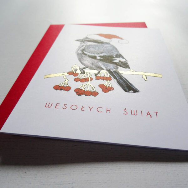 Kartka Świąteczna z Srokoszem, Ptaki Polski, Wesołych Świąt