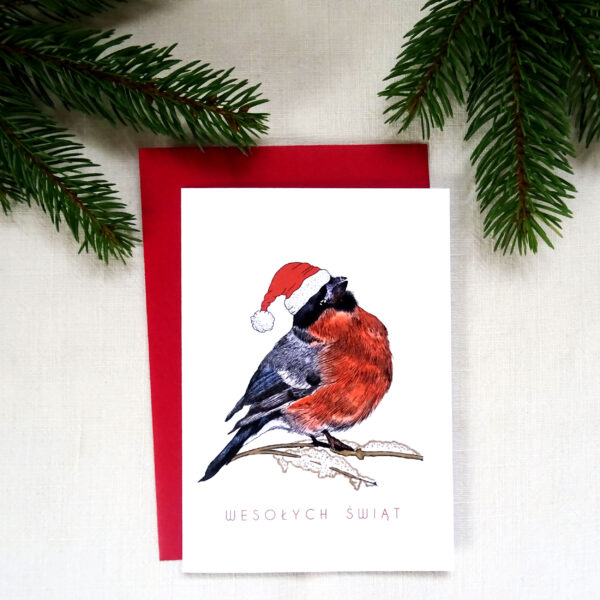 Kartka Świąteczna z Gilem, Ptaki Polski, Wesołych Świąt