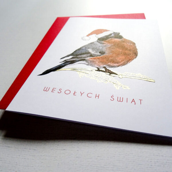 Kartka Świąteczna z Gilem, Ptaki Polski, Wesołych Świąt