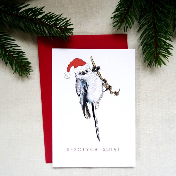 Kartka Świąteczna z Raniuszkiem, Ptaki Polski, Wesołych Świąt