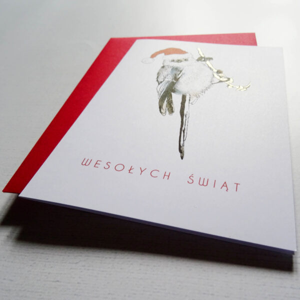 Kartka Świąteczna z Raniuszkiem, Ptaki Polski, Wesołych Świąt