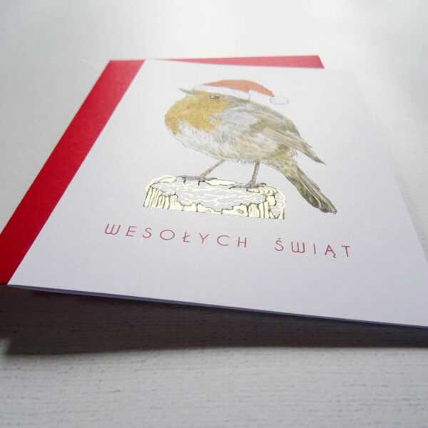 Kartka Świąteczna z Rudzikiem, Ptaki Polski, Wesołych Świąt