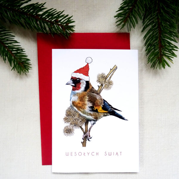 Kartka Świąteczna z Szczygłem, Ptaki Polski, Wesołych Świąt