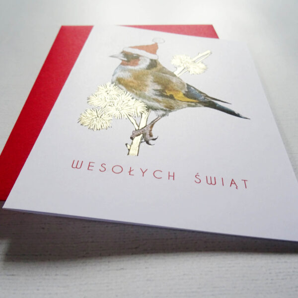 Kartka Świąteczna z Szczygłem, Ptaki Polski, Wesołych Świąt