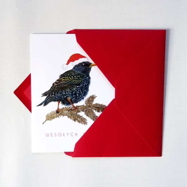 Kartka Świąteczna z Szpakiem, Ptaki Polski, Wesołych Świąt, złote detale