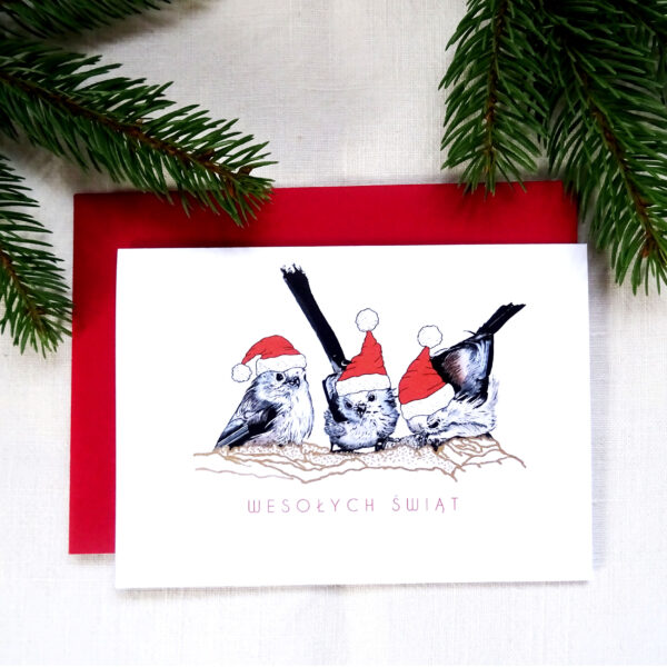 Kartka Świąteczna z grupą Raniuszków, Ptaki Polski, Wesołych Świąt