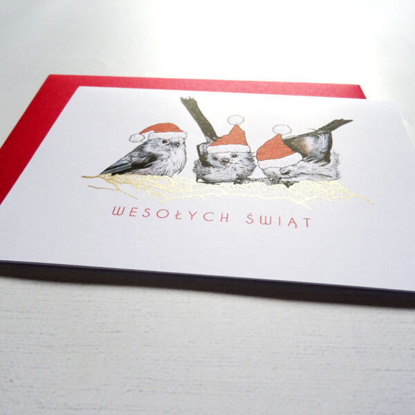 Kartka Świąteczna z grupą Raniuszków, Ptaki Polski, Wesołych Świąt
