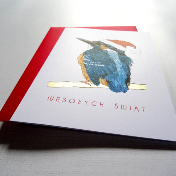 Kartka Świąteczna z Zimorodkiem, Ptaki Polski, Wesołych Świąt
