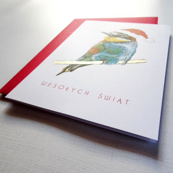 Kartka Świąteczna z Żołną w mikołajkowej czapeczce i czerwoną kopertą w komplecie.