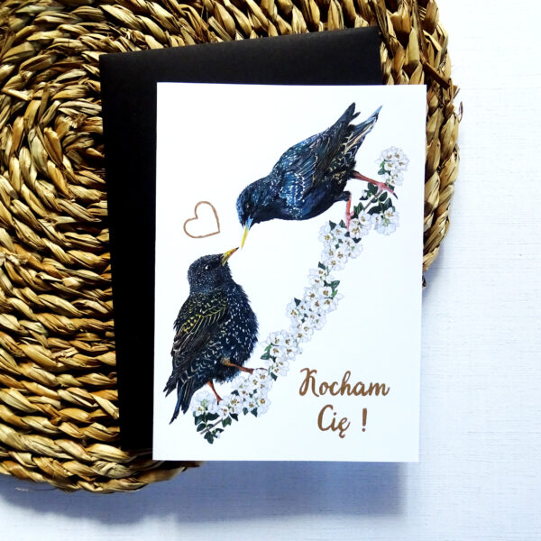 Kartka Walentynkowa z Szpakami, Zakochana Para Ptaków, Kocham Cię