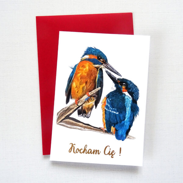 Kartka Walentynkowa z Ptakami, Zimorodki Zakochana Para, Personalizowana Kartka na Walentynki