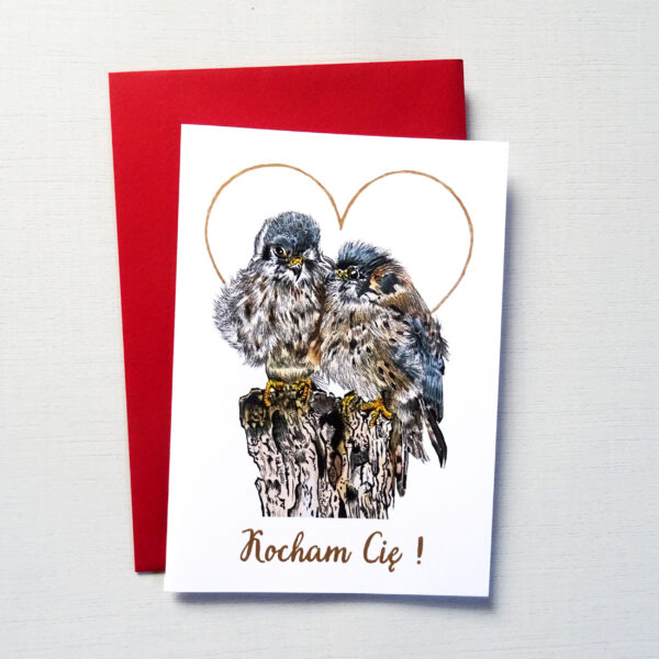 Kartka Walentynkowa z Ptakami, Pustułki Zakochana Para, Personalizowana Kartka na Walentynki