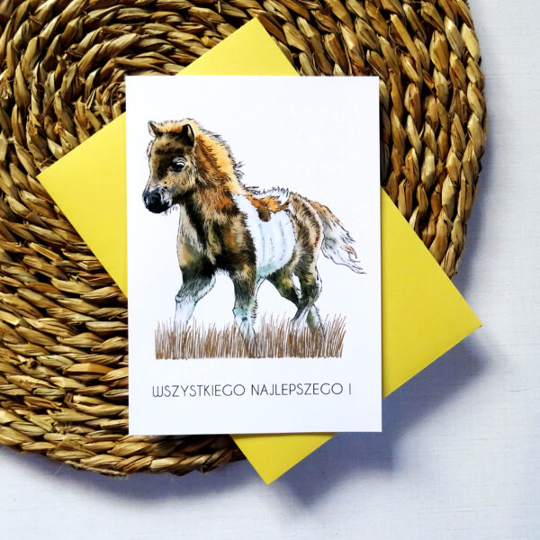 Kartka Urodzinowa z Kucykiem, Wszystkiego Najlepszego, żółta koperta w komplecie