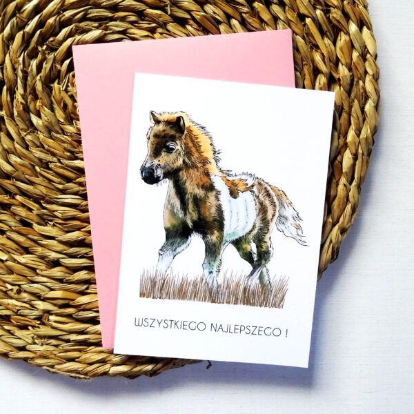 Kartka Urodzinowa z Kucykiem, Wszystkiego Najlepszego, różowa koperta w komplecie