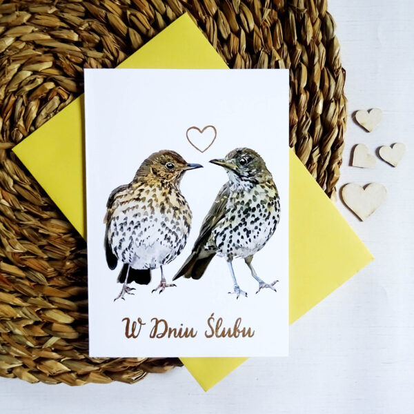 Kartka Ślubna z Drozdami, Zakochana Para Ptaków, W Dniu Ślubu