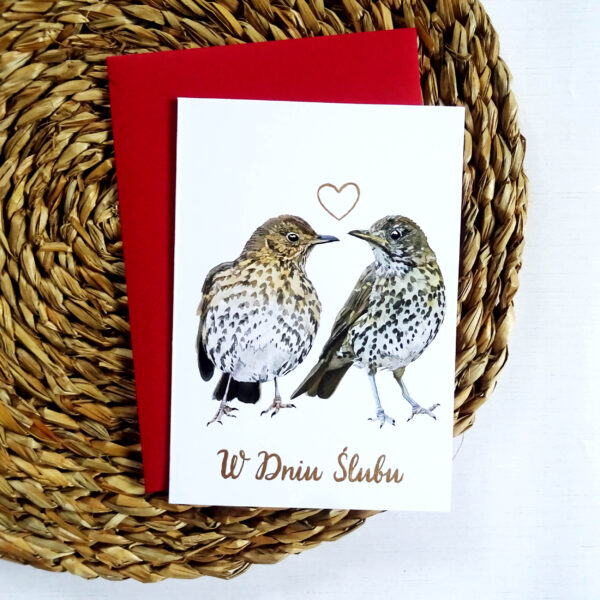 Kartka Ślubna z Drozdami, Zakochana Para Ptaków, W Dniu Ślubu