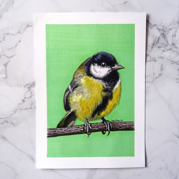 Oryginalna Ilustracja Sikory Bogatki na pastelowym zielonym tle.