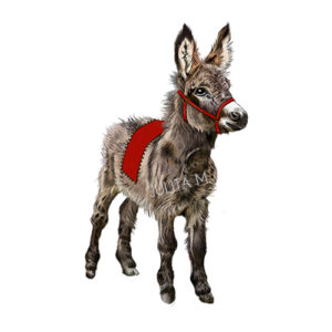 Ilustracja Osiołka na Kartkę Świąteczną