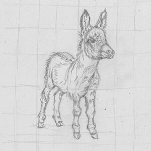 Szkic Osiołka wykonany ołówkiem do kartki świątecznej