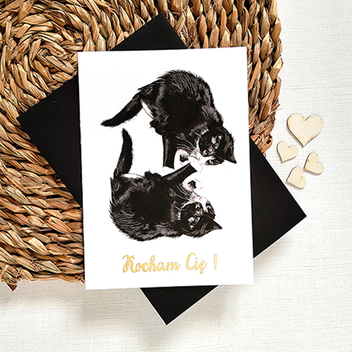 Kartka Walentynkowa z Czarnymi Kotkami, Zakochana Para Kotów