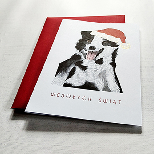 Kartka Świąteczna z pieskiem rasy Border Collie w mikołajkowej czapeczce i delikatnymi złotymi detalami.